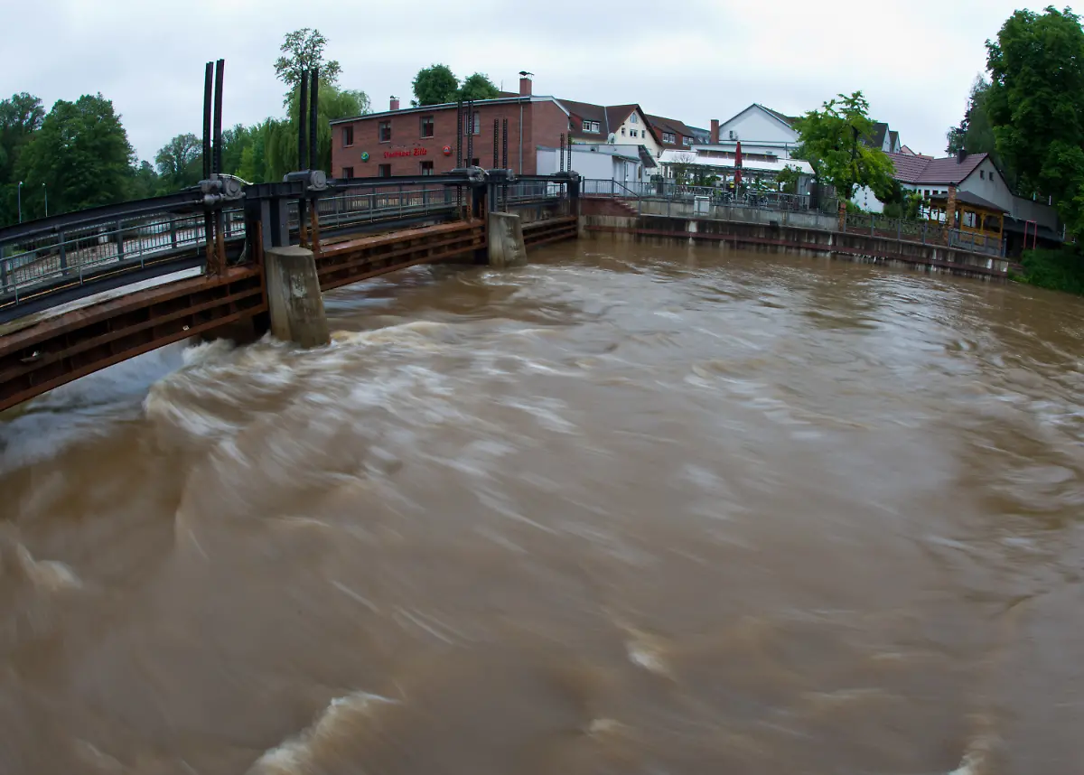 3c1m4654-jpg2041691670300349077