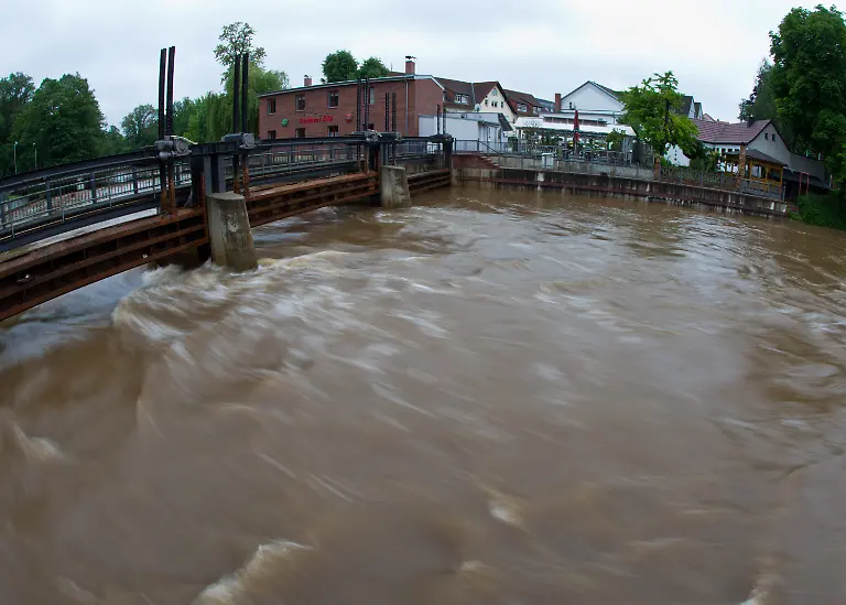 3c1m4654-jpg2041691670300349077