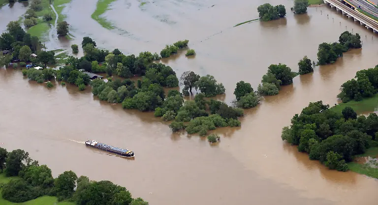 3c133843-jpg3134843926644063956