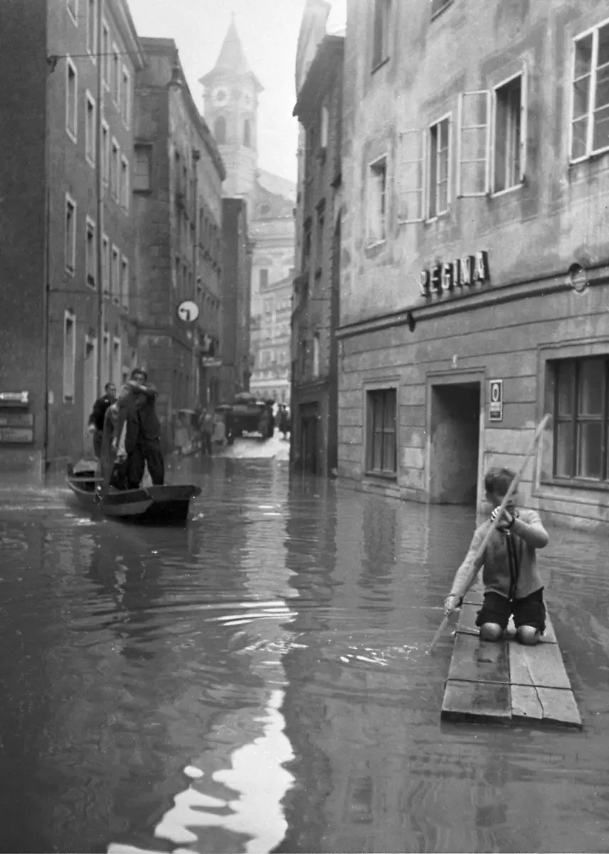 3c1a4146-jpg8899581544545516986