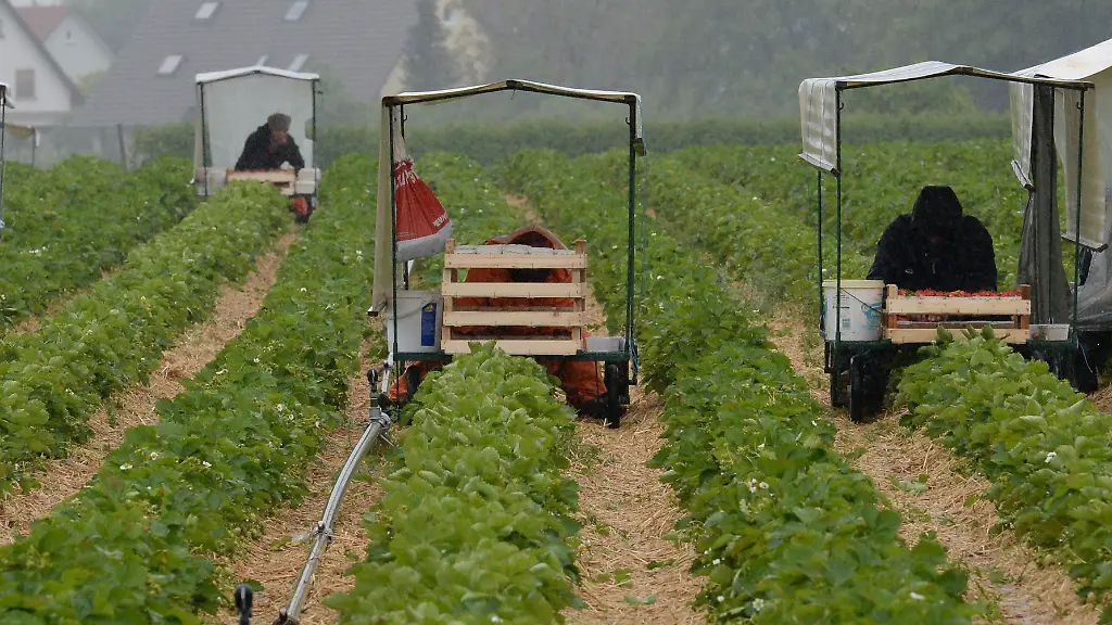 3bz42827-jpg7625655598283896480