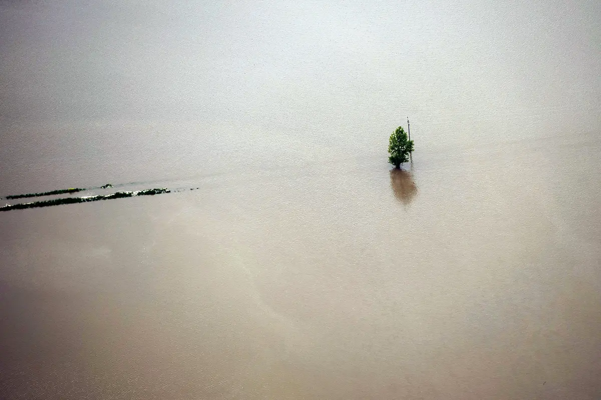 3c0e0217-jpg5071315247233509498