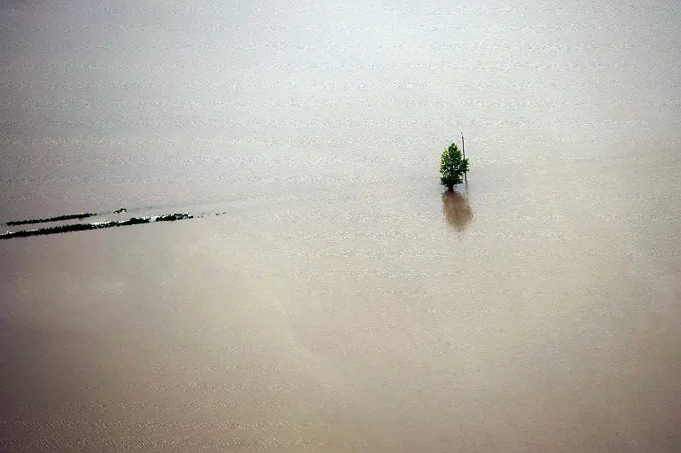 3c0e0217-jpg5071315247233509498