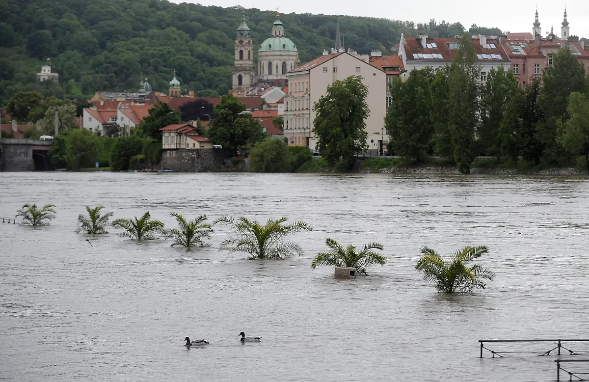 3c0f0837-jpg623432602239442356