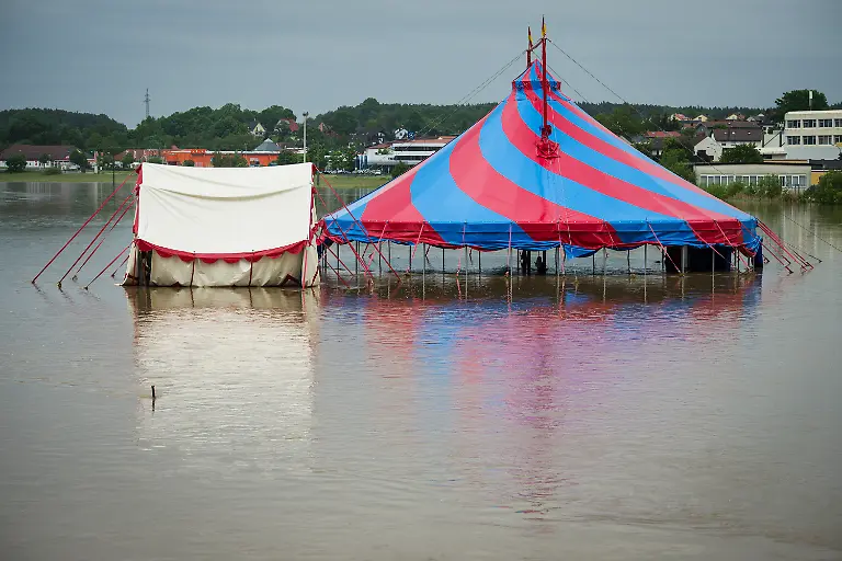 3c0e5040-jpg5259035805313899678