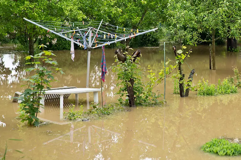 3bz04325-jpg3545450005928207929