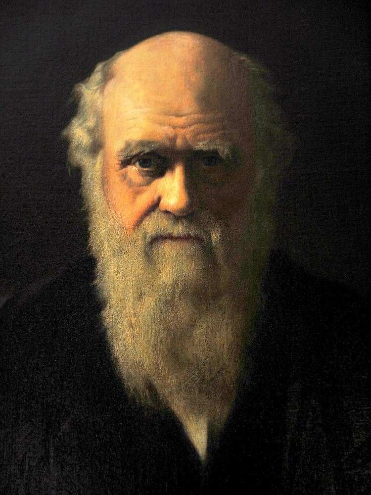 2009 gibt es zwei wichtige Darwin-Jubiläen: Der 12. Februar ist der 200. Jahrestag von Darwins Geburtstag, und am 24. November jährt sich die Veröffentlichung seines epochalen Werkes "On the Origin of Species" zum 150. Mal.