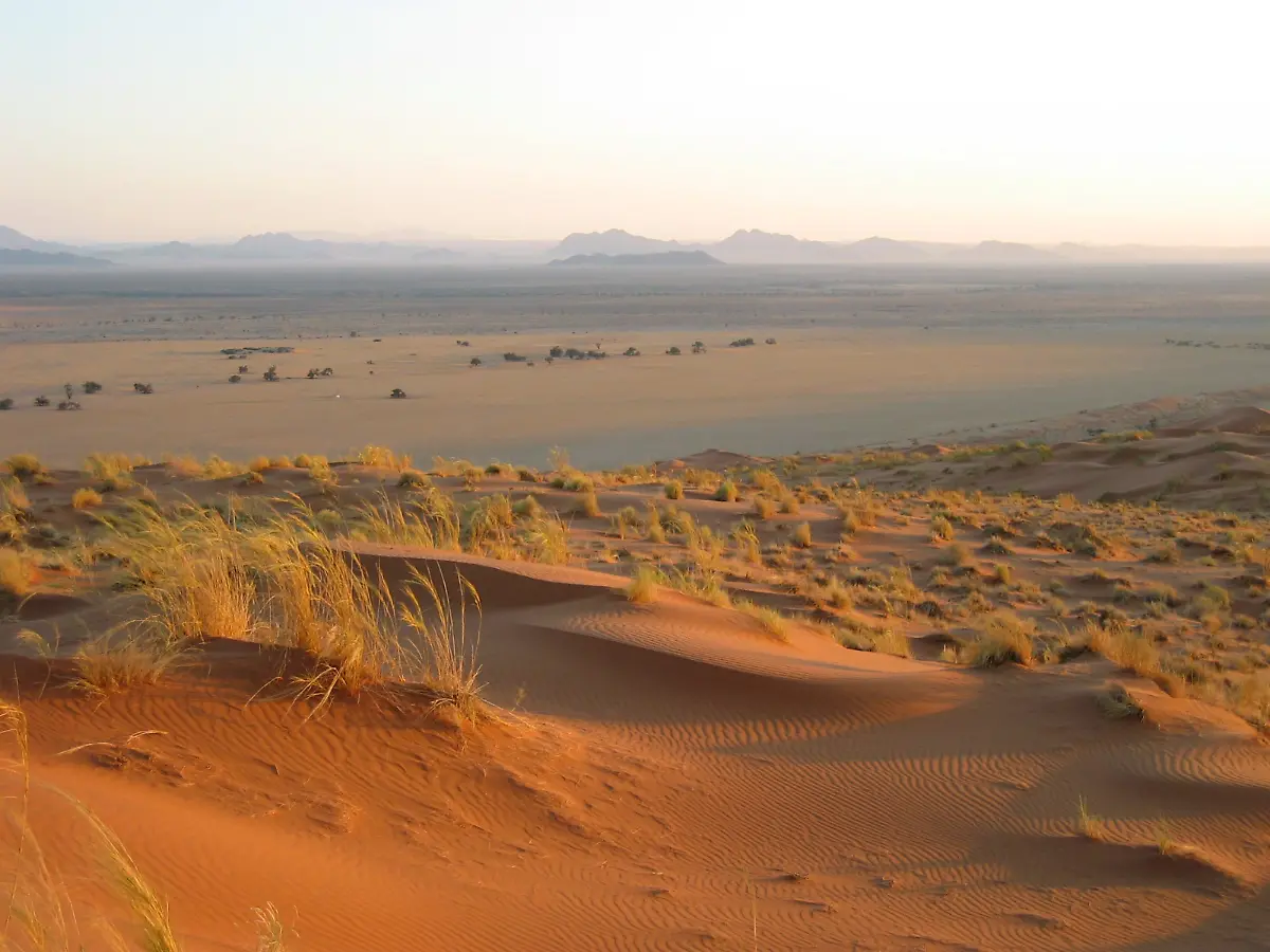 Namib-Wueste
