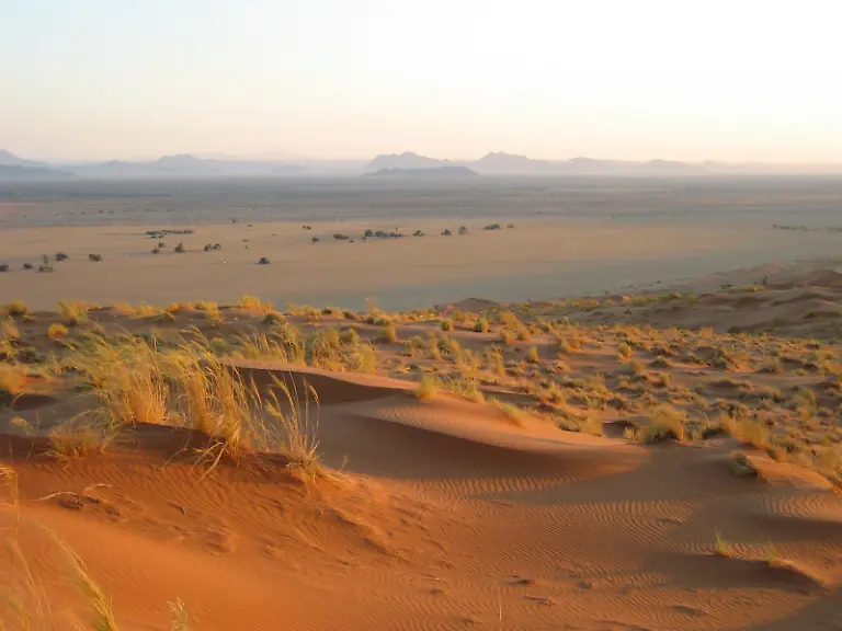 Namib-Wueste