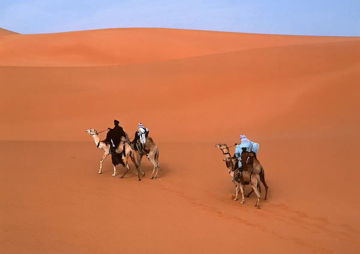 Sahara-Tuareg