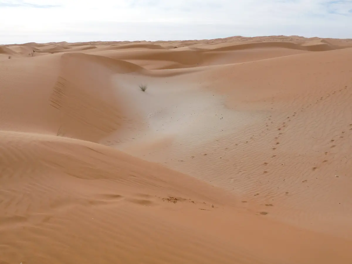 Sahara-adrar-wiki-Ji-elle