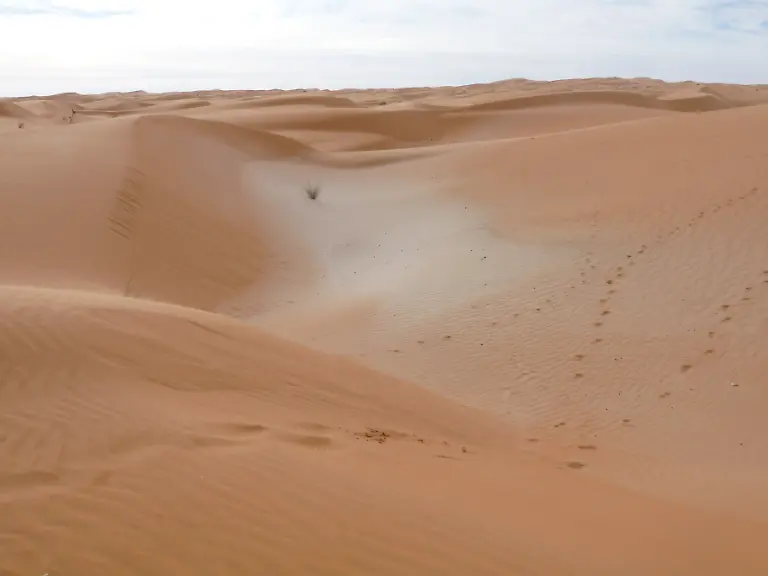 Sahara-adrar-wiki-Ji-elle