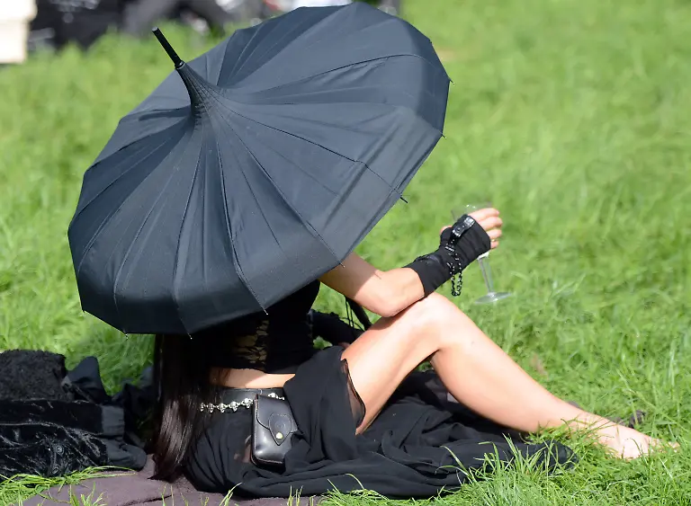 3bq85003-jpg8822648911702591313