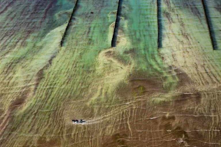 17-09-S-298-299-Yann-Arthus-Bertrand