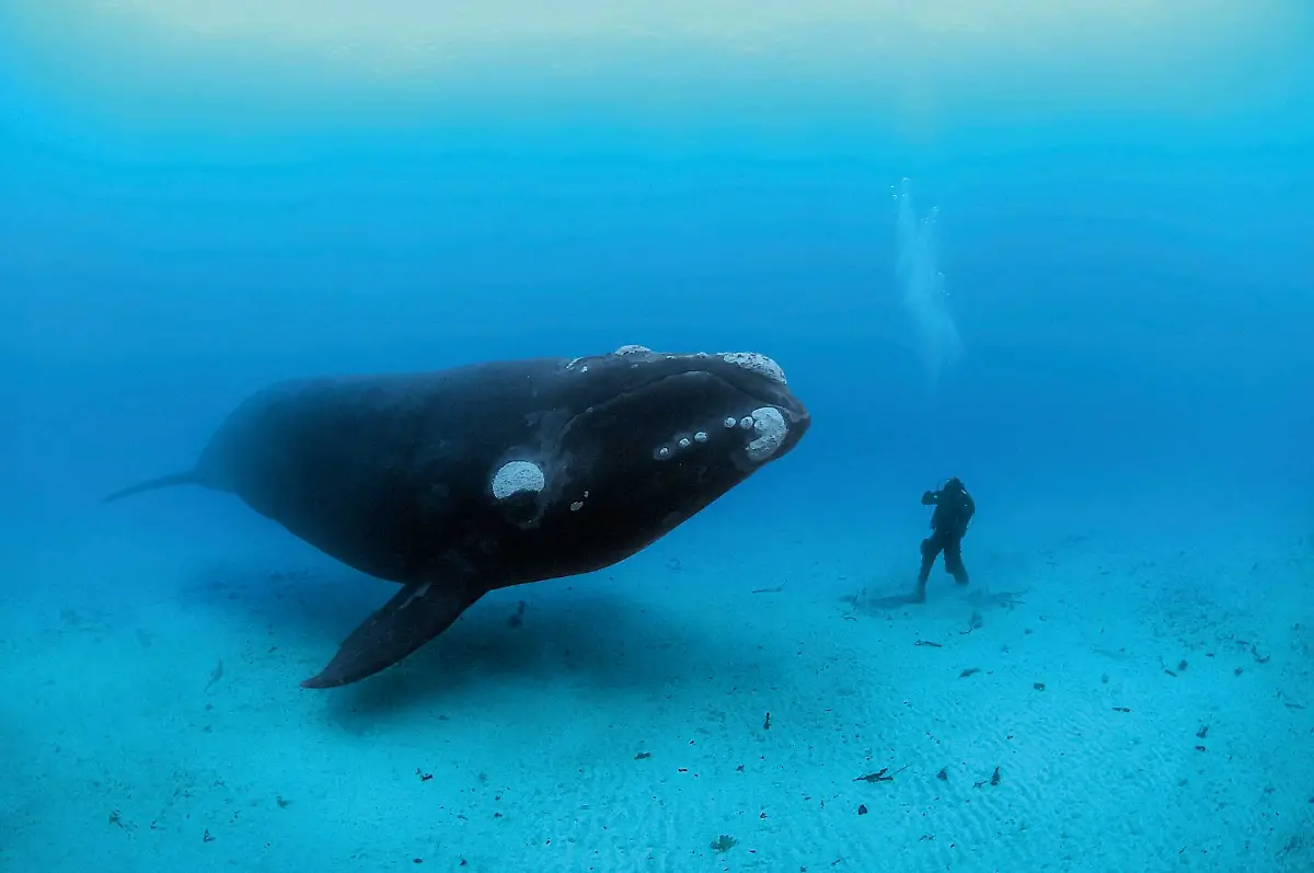 10-02-S-21-Brian-Skerry