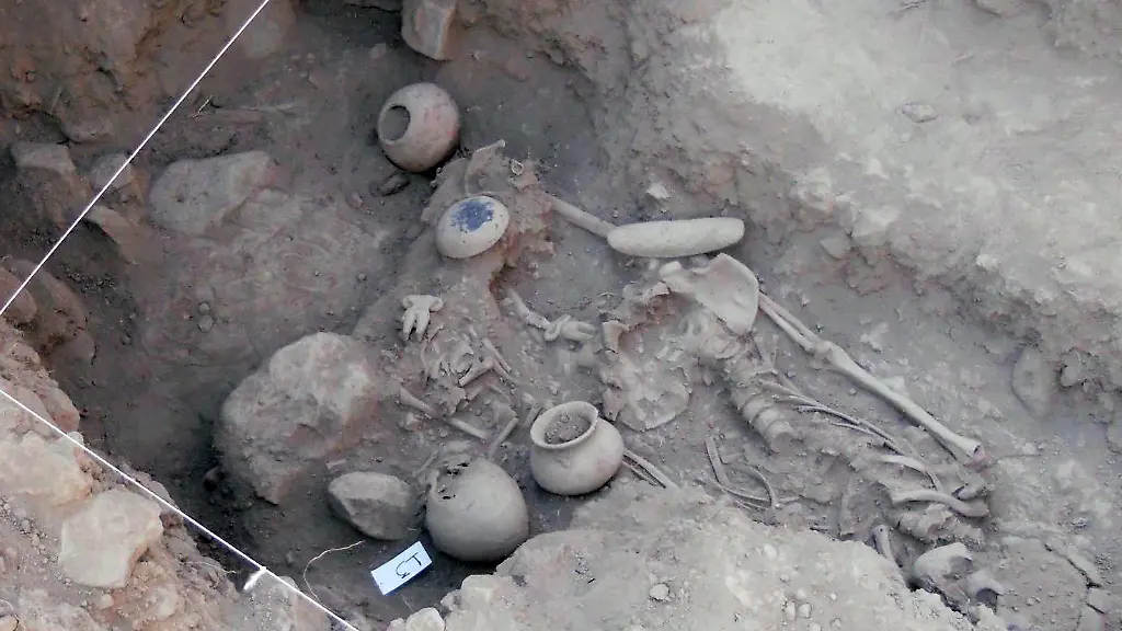 3biz4039-jpg8282874015670250842