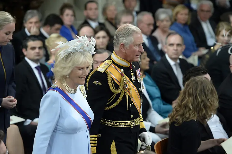 3bdp4418-jpg3834151832404939163