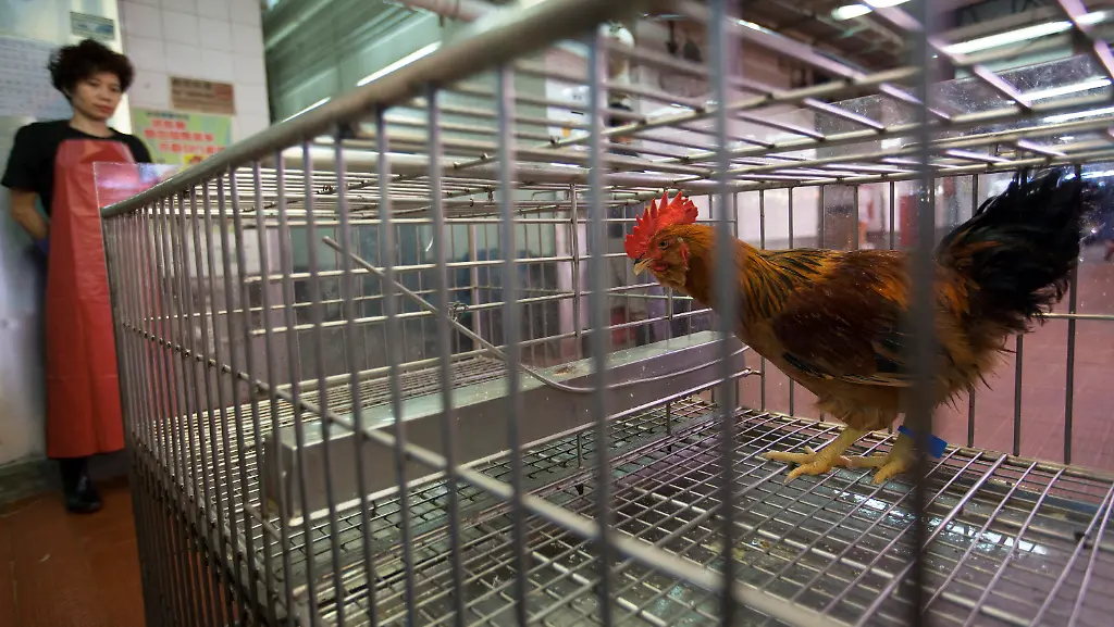 3bb02643-jpg2773966656039286436