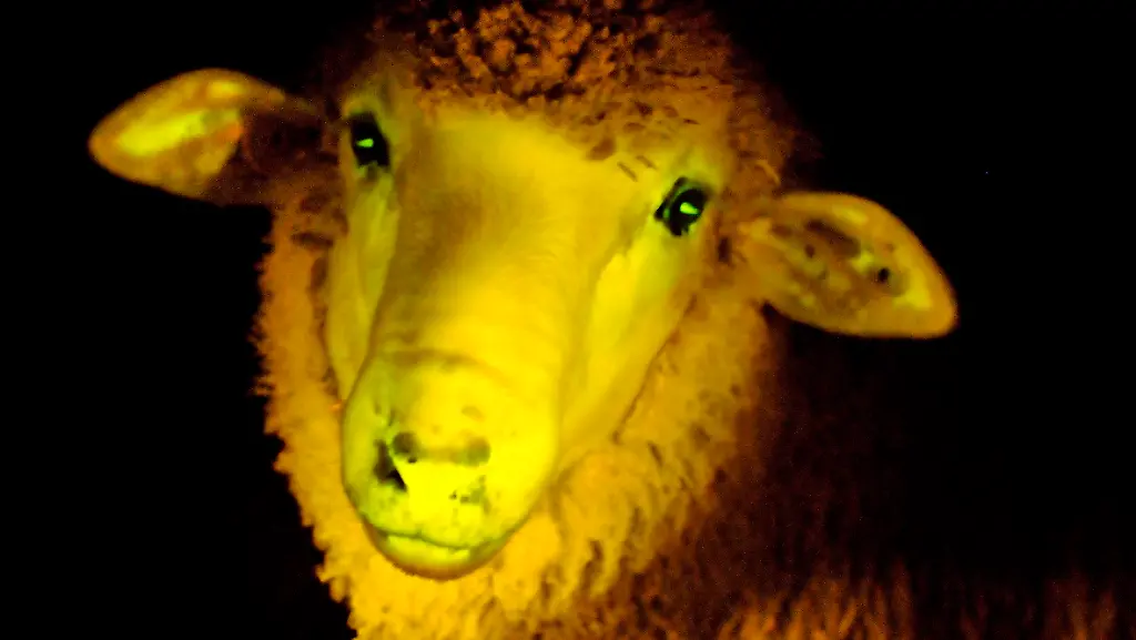 2013-04-24T235805Z-01-AST01-RTRMDNP-3-URUGUAY-JPG9056700926675066694