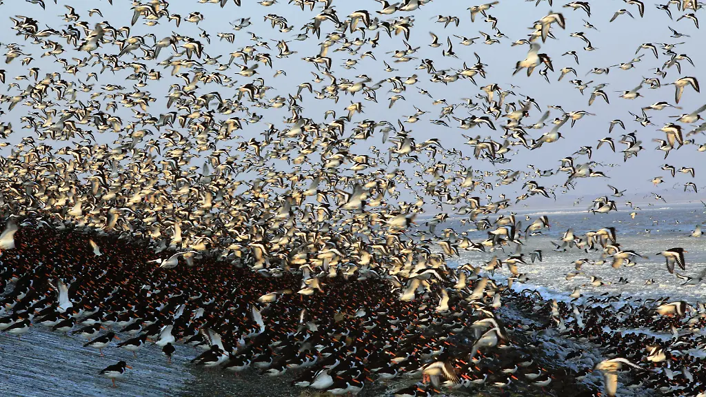 3b7h2342-jpg7138621144048197469