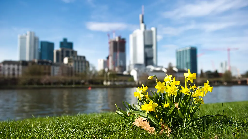 3b5h0719-jpg6158387386025359744