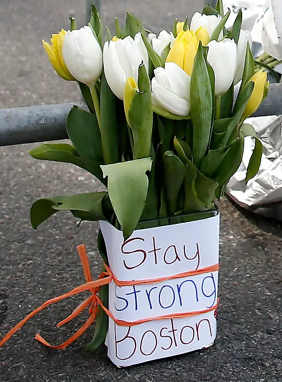 32852000883F6A99-jpg4056444483501235995