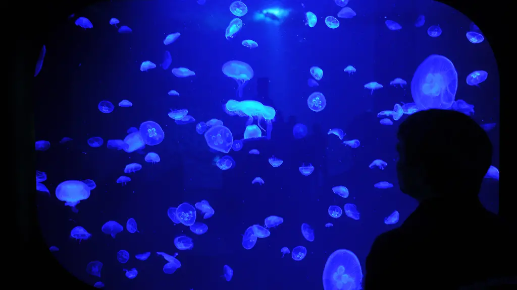 3b4t0749-jpg8417278803012418707