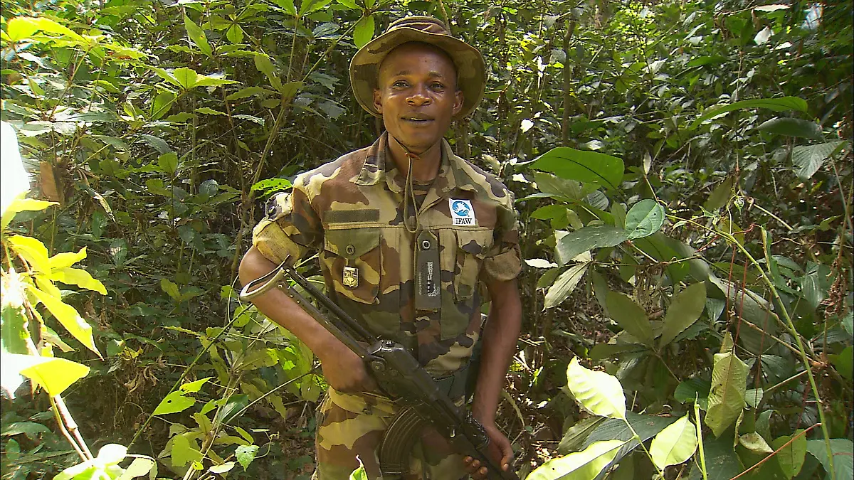 Tango-Film-EcoGuard1