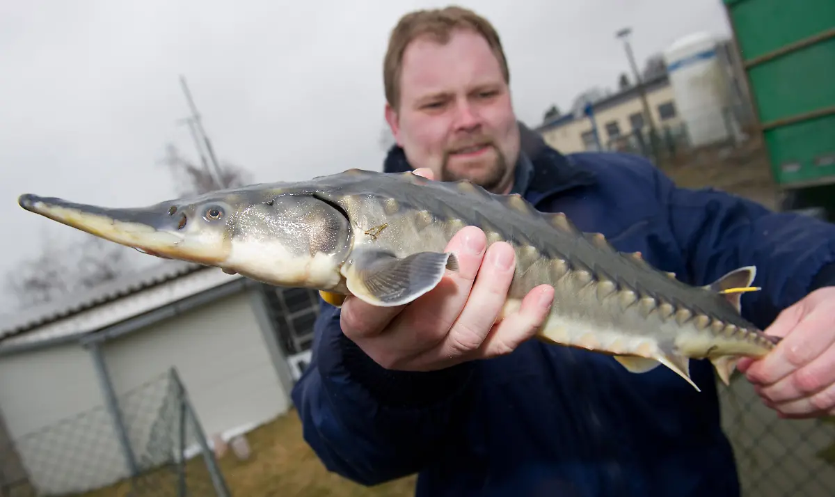 3ay50306-jpg8532699097558272649