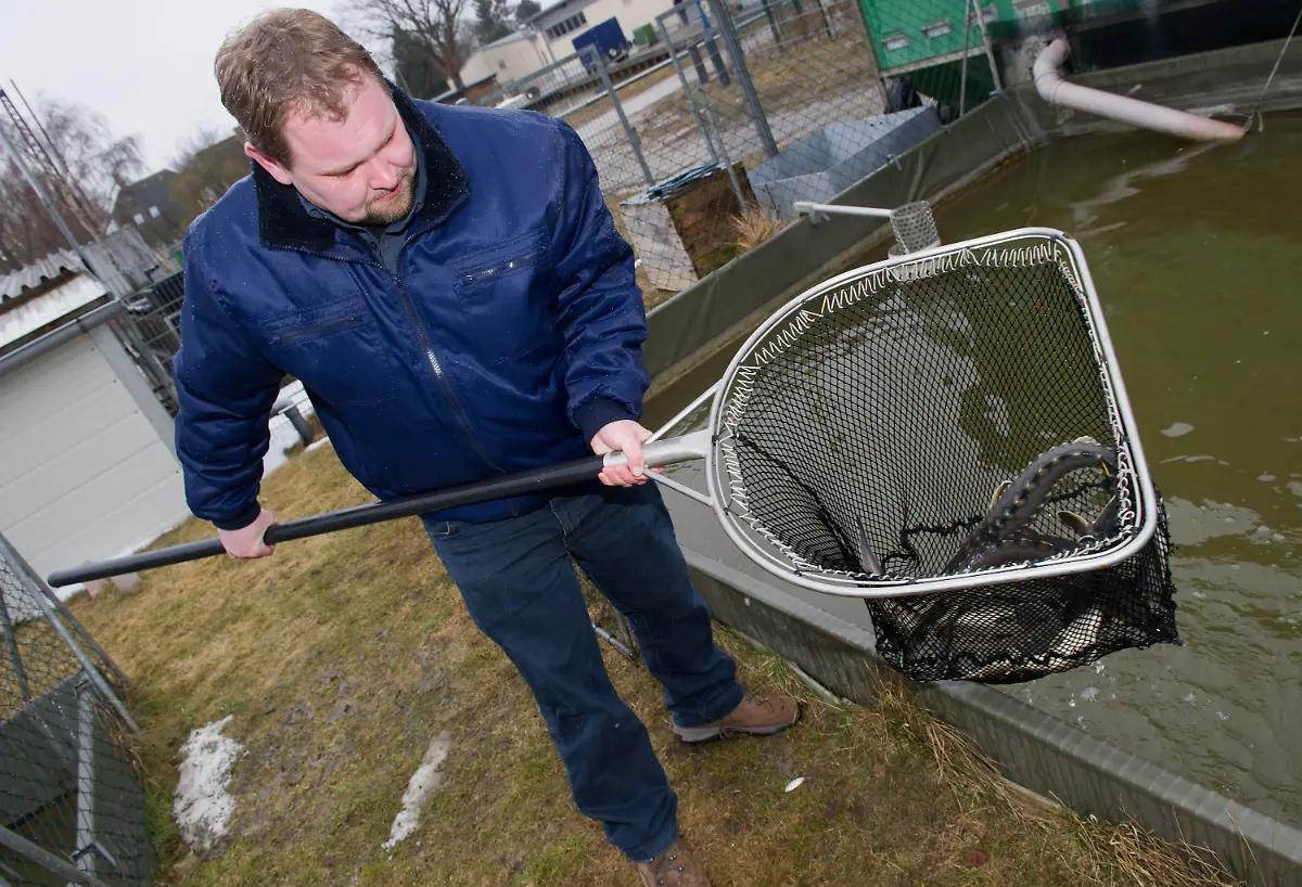 3ay50321-jpg3154700480308583331