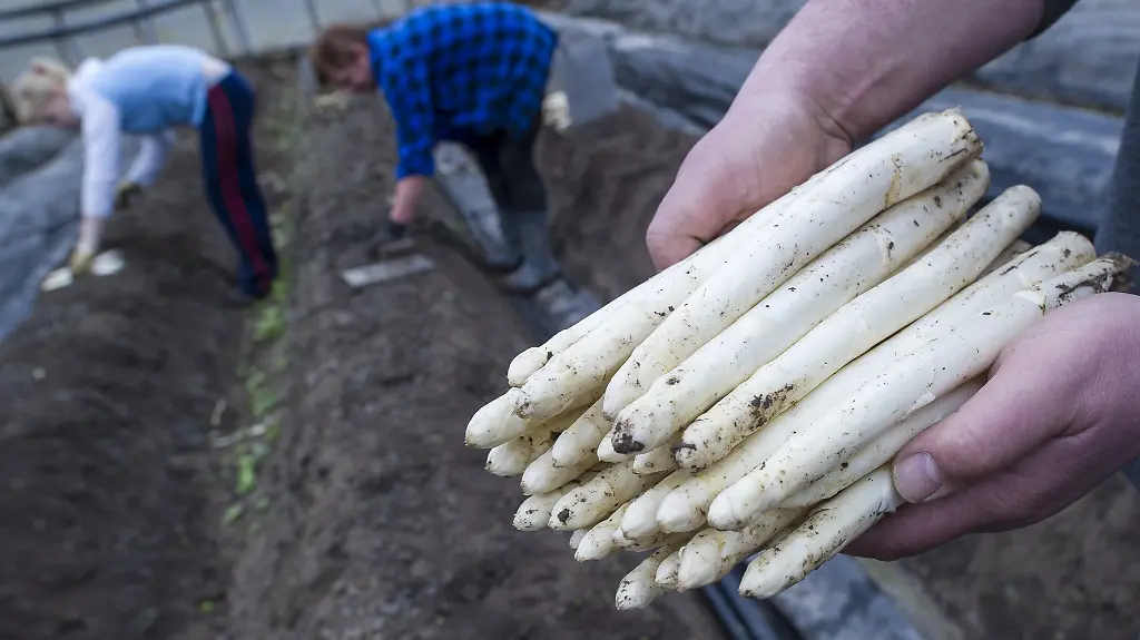 DI10145-20130405-jpg1703836756189221456