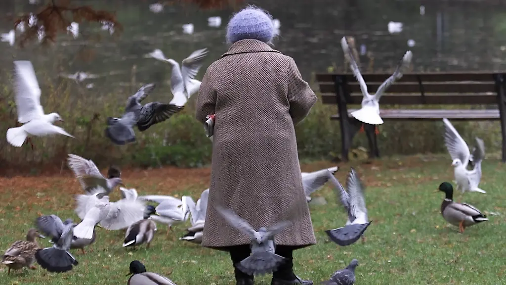 DI10119-20130325-jpg8248272103134087471