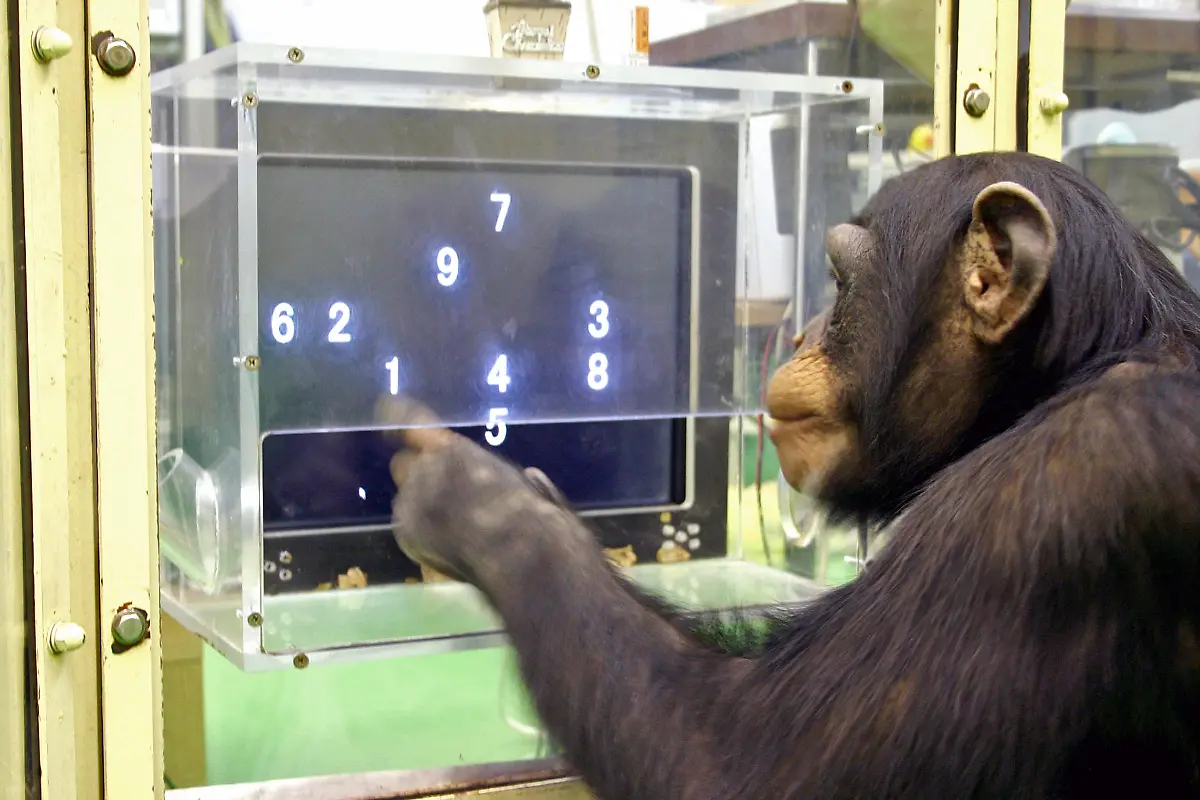 3aot0403-jpg7521866697740004108