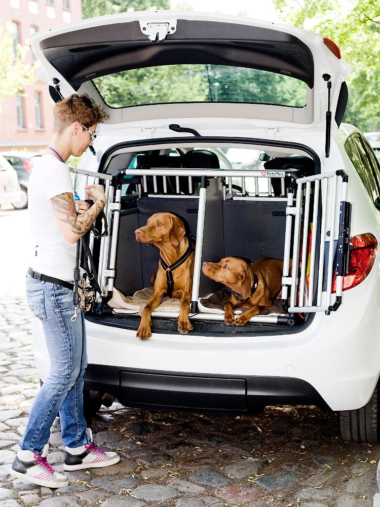 Bello an Bord: Für viele Tierhalter ist ein Urlaub ohne ihren Hund unvorstellbar.