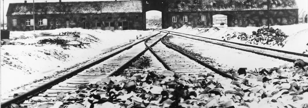 Bild zum Thema Holocaust