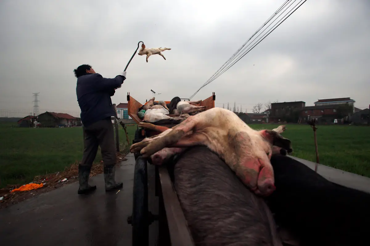 3284DA00CCDDBEAD-jpg5565633513368732362