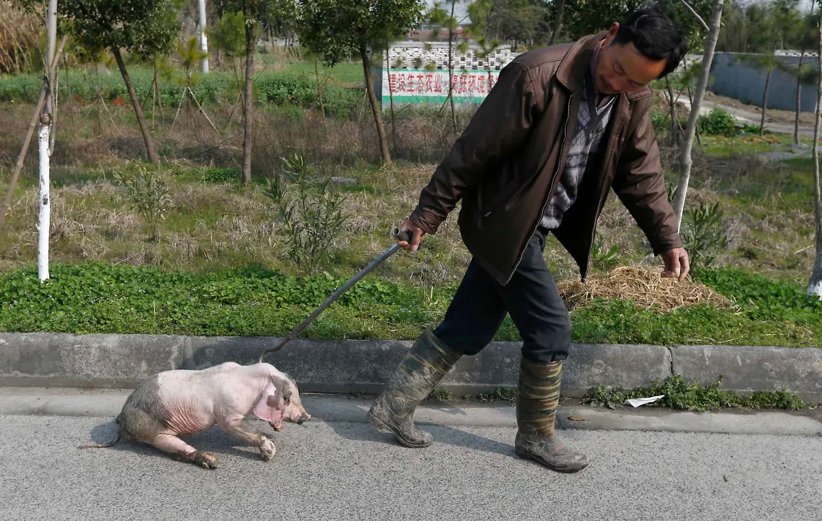 2013-03-12T102738Z-01-PEK29-RTRMDNP-3-CHINA-JPG2356067556064215715