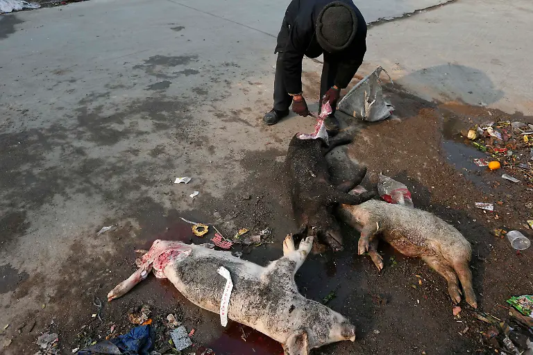 2013-03-12T102505Z-01-PEK26-RTRMDNP-3-CHINA-JPG6825798495851705509