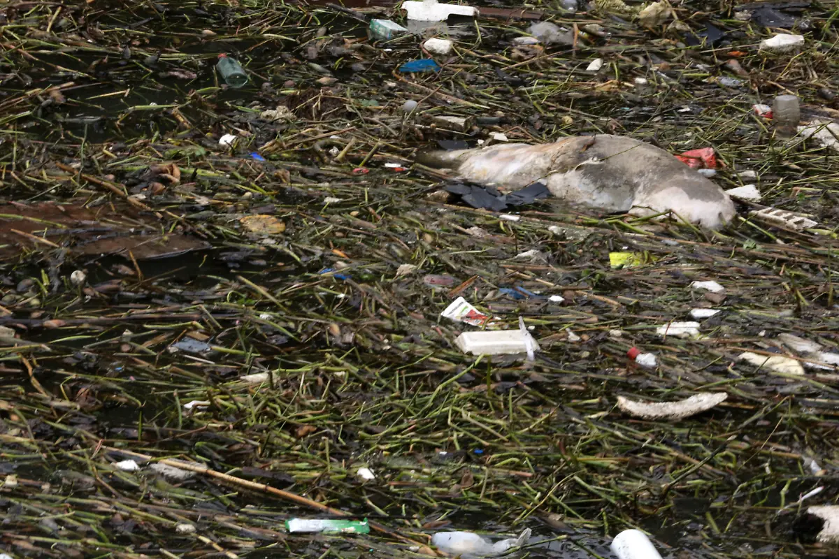 3284D6007C1E615A-jpg7045760515093291107