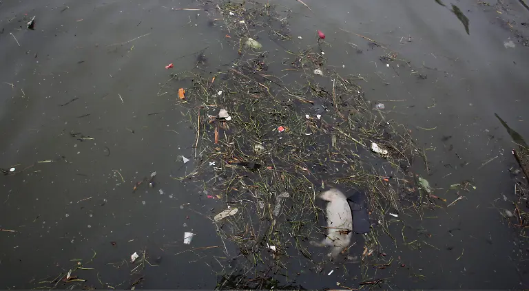 3284D600ED9CC8B4-jpg7301387809603971282