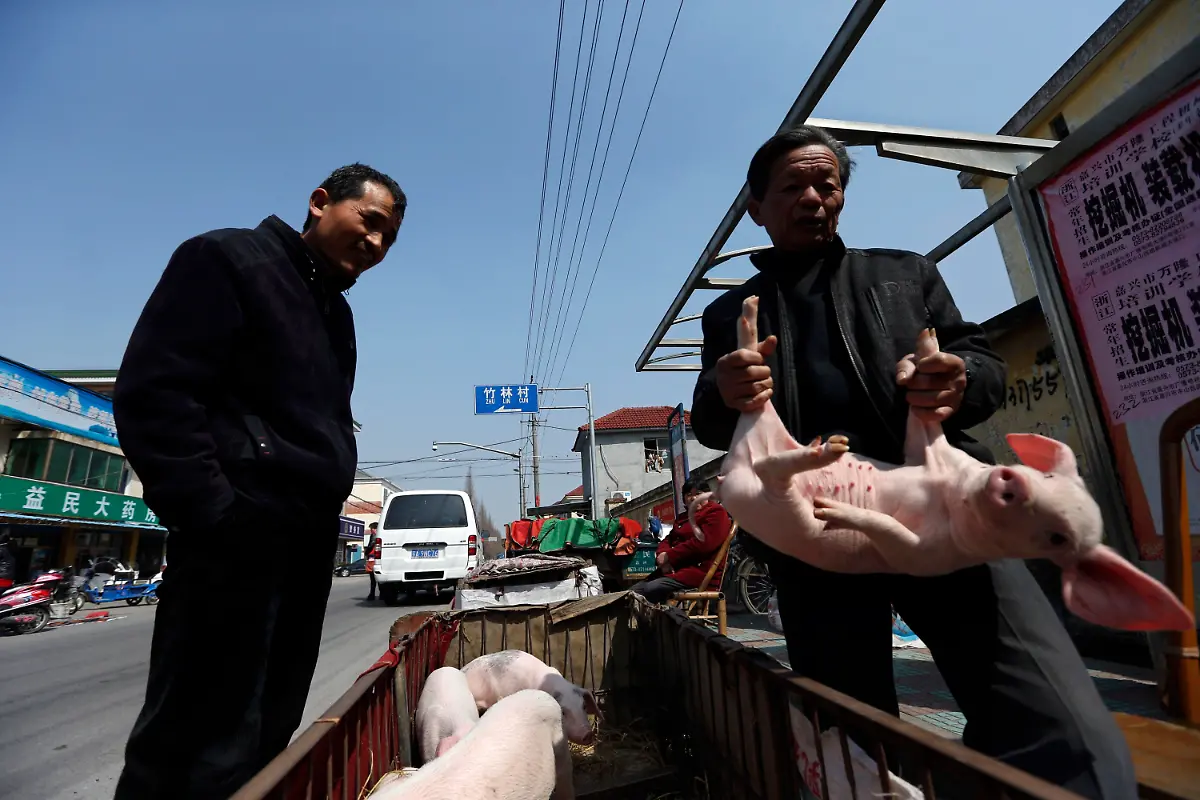 2013-03-15T093017Z-01-PEK31-RTRMDNP-3-CHINA-PIGS-JPG2873351213801071648