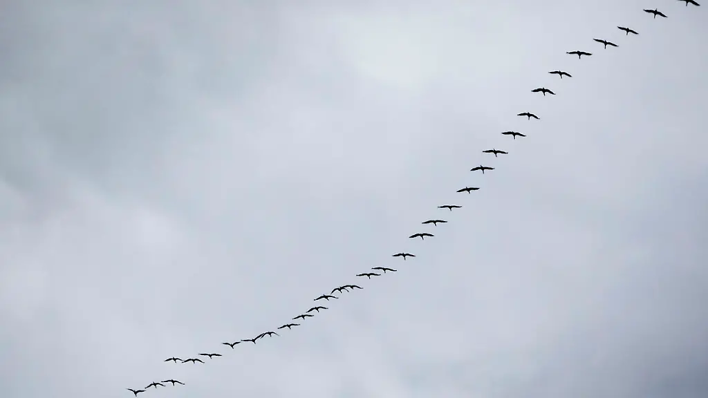 3ait0428-jpg1216660582153792644