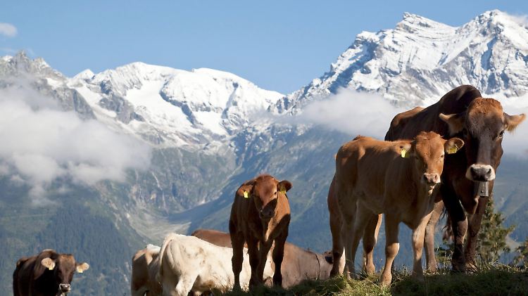 Auf der Alm da gibt's koa Sünd: Die Schweiz erlebt derzeit einen Immobilienboom.