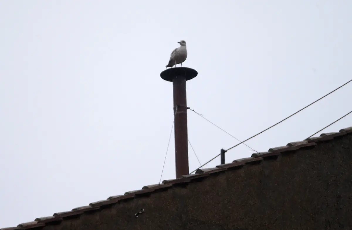 3ahs4750-jpg694343039746314571