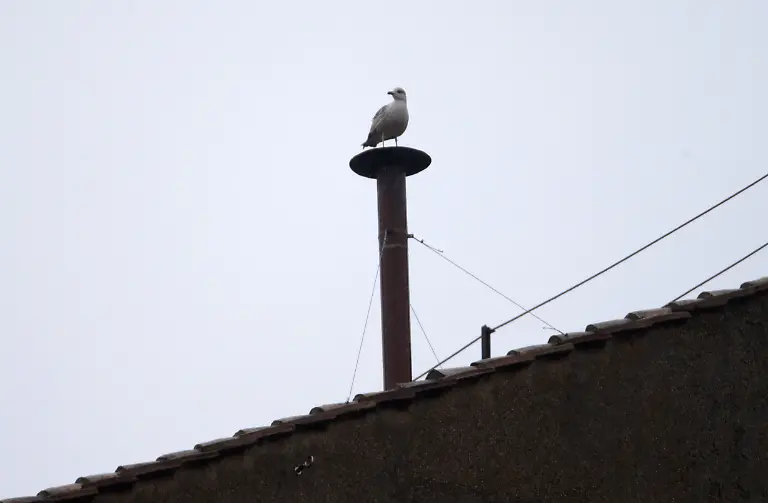 3ahs4750-jpg694343039746314571