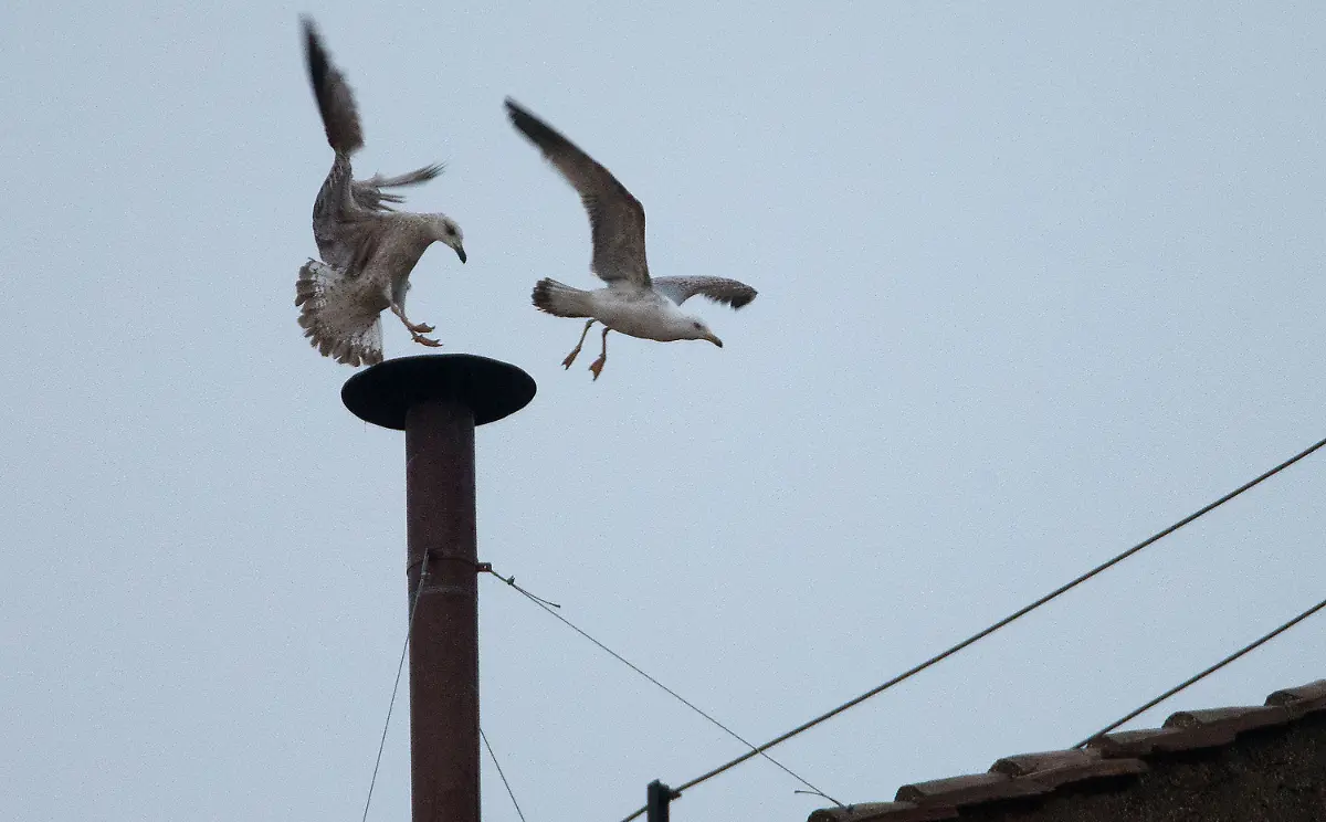 3ahu1030-jpg1054671180346180064