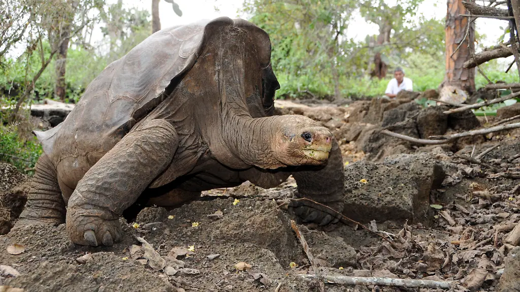 3aha1209-jpg6068677424886880713