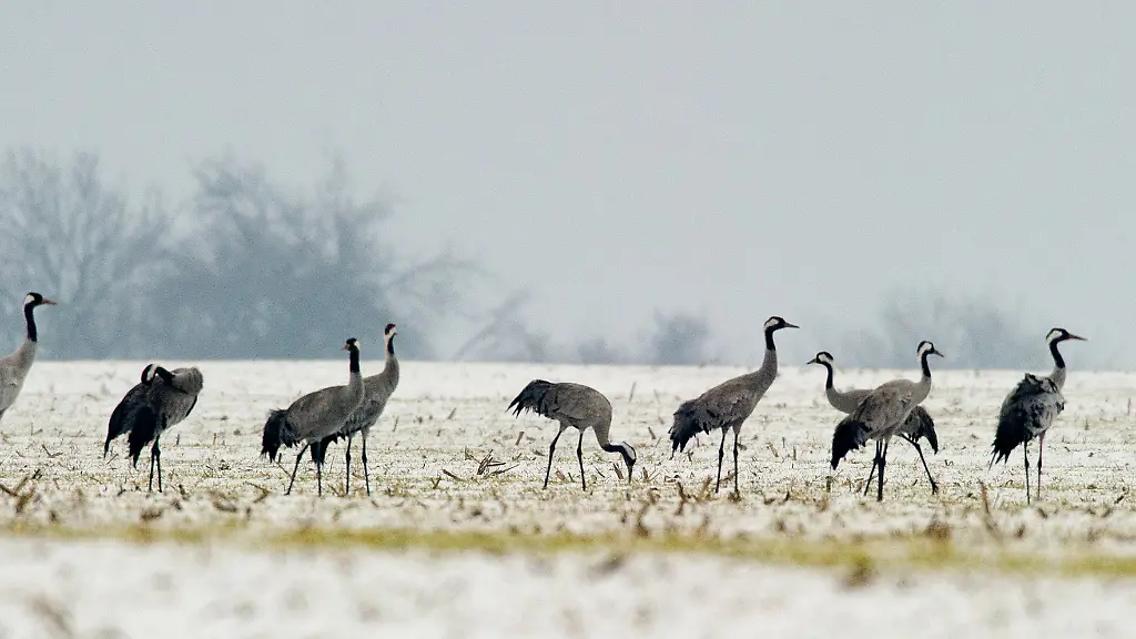 3afn3506-jpg4067752322126688514