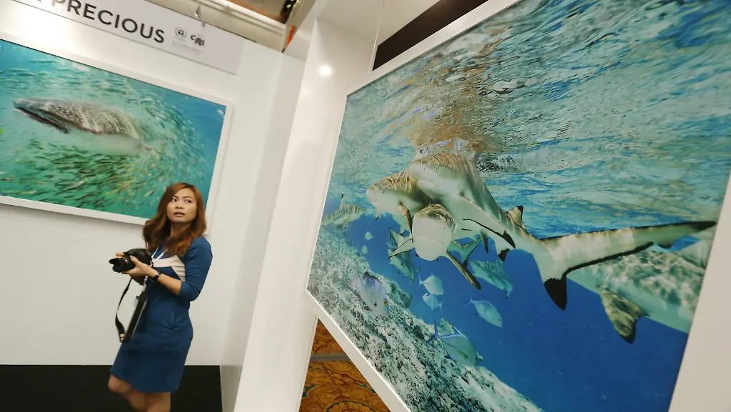 3ag81840-jpg1704867529988634857