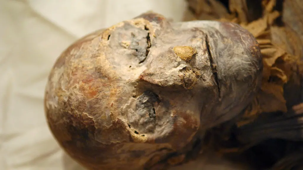 3afm0007-jpg2055200079406882939